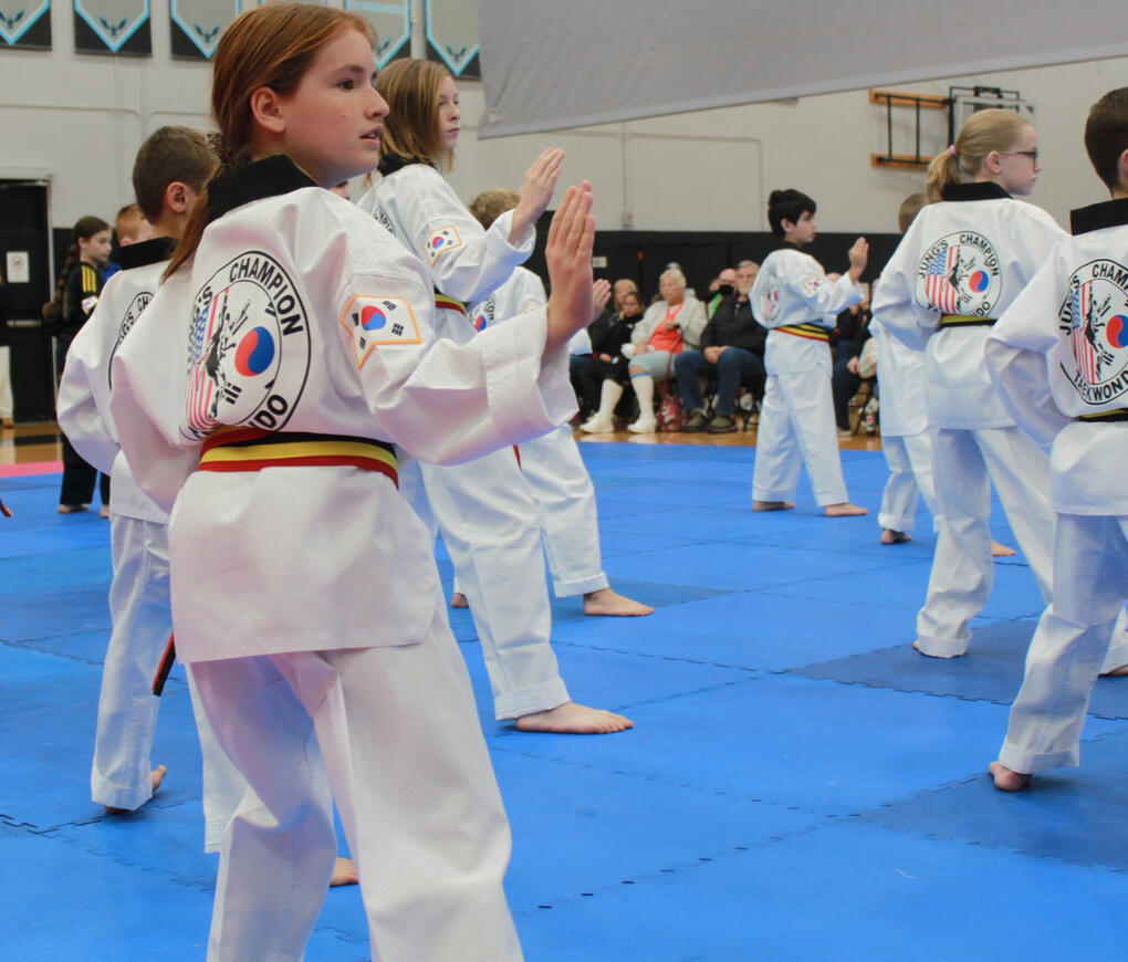 a large group of students performing blocks and strikes in unison